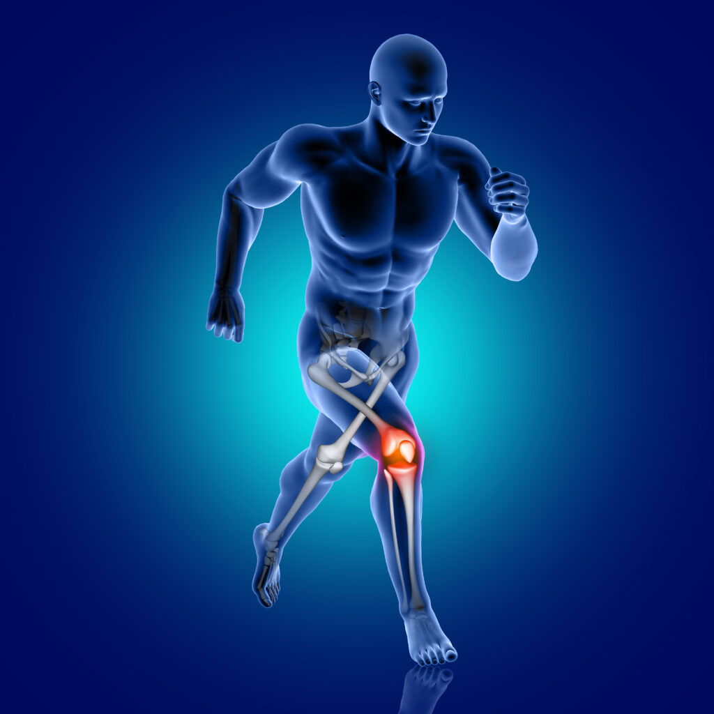 Lubricate the Knee Joint